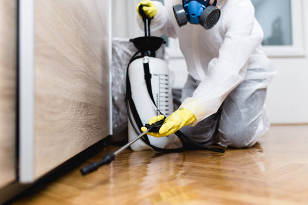Professional Pest Control in Norton Shores, MI