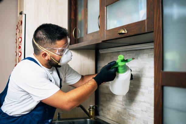 Best Pest Control Treatment  in Norton Shores, MI