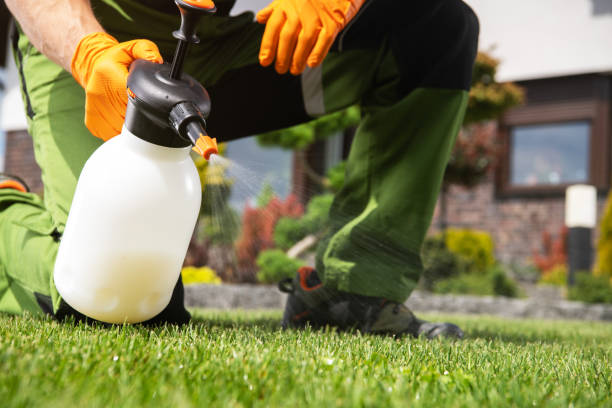 Best Wildlife Control Services  in Norton Shores, MI