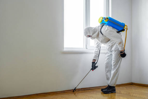 Best Local Pest Control Services  in Norton Shores, MI