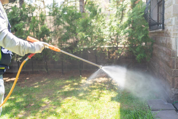 Best Affordable Pest Control Services  in Norton Shores, MI