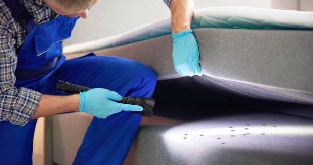 Pest Control Cost in Norton Shores, MI