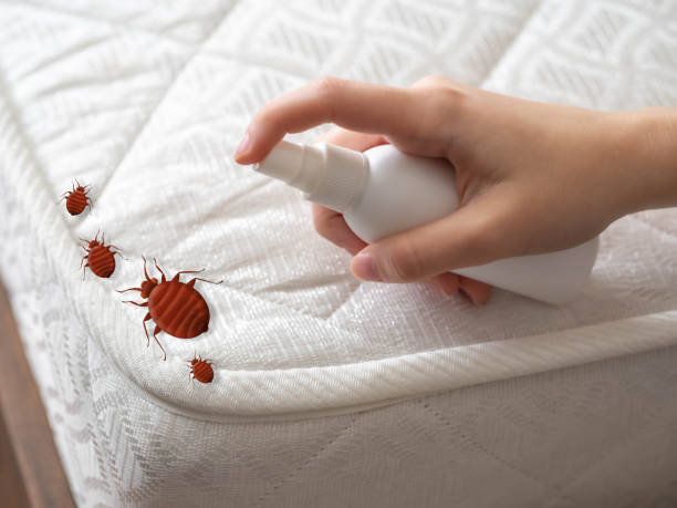 Best Local Pest Control Services  in Norton Shores, MI