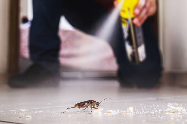 Best Pest Control for Businesses  in Norton Shores, MI