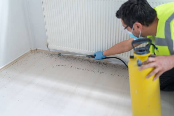 Best Pest Inspection Near Me  in Norton Shores, MI